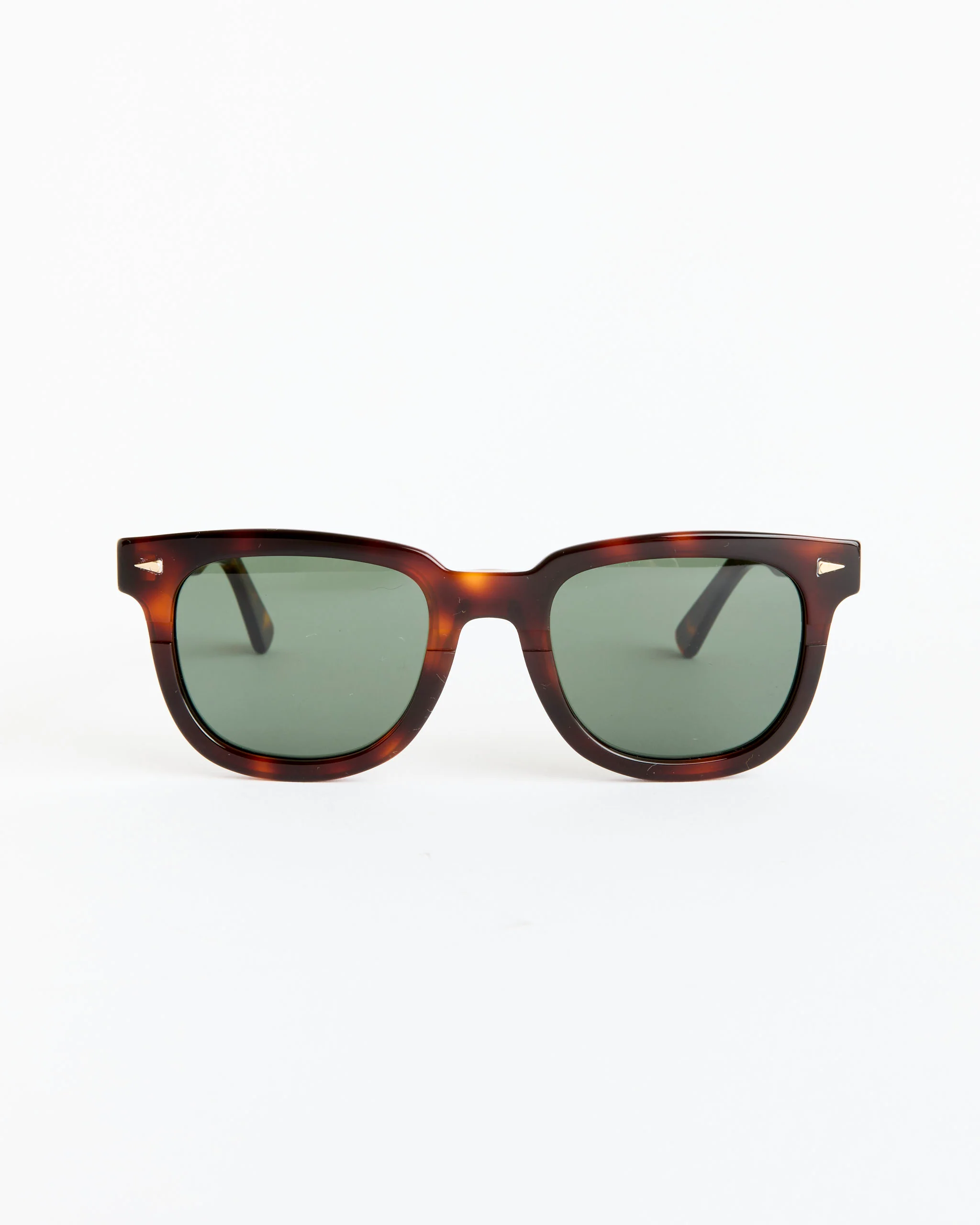 Square du Temple Sunglasses in Classic Turtle/G15