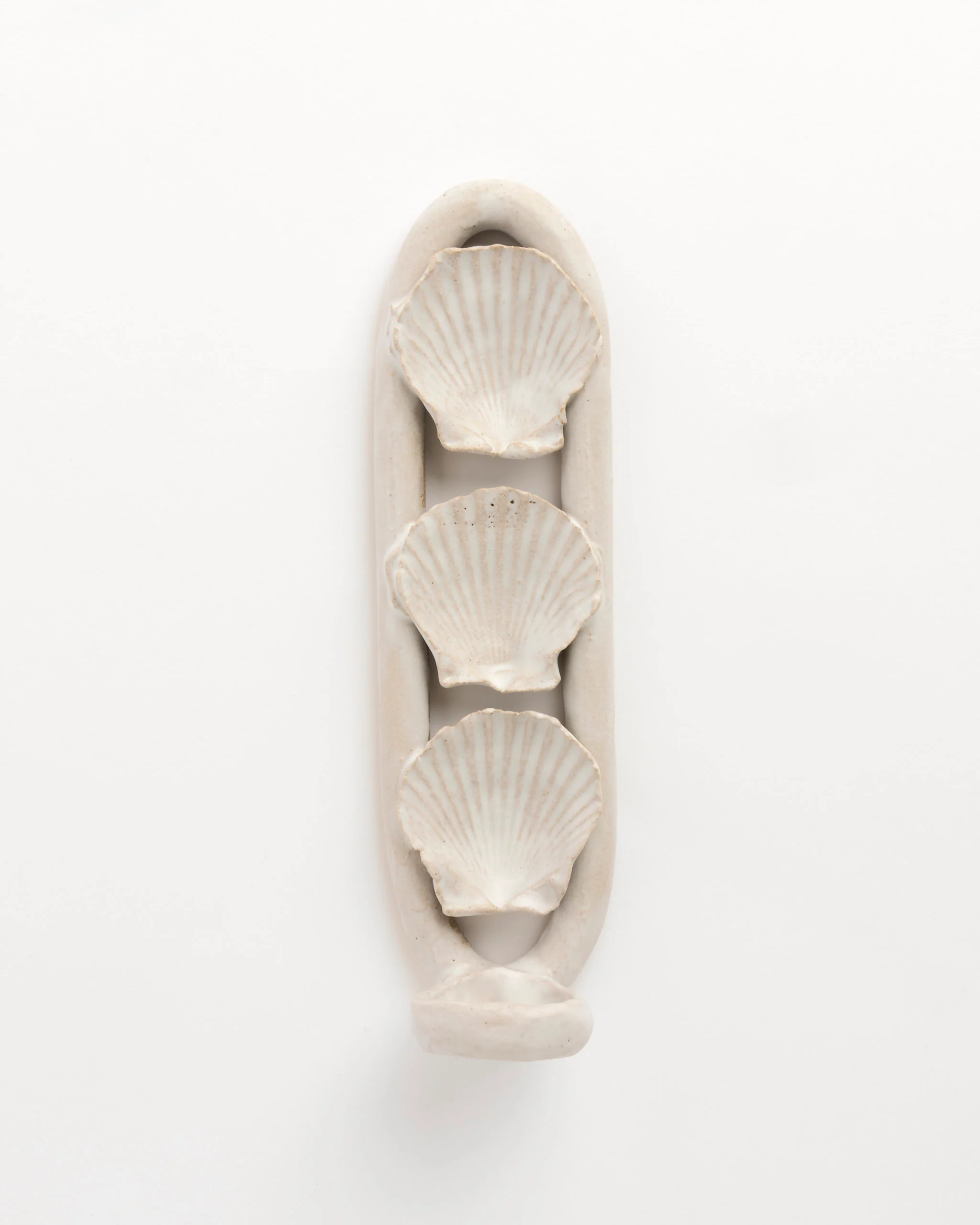 Shell Sconce