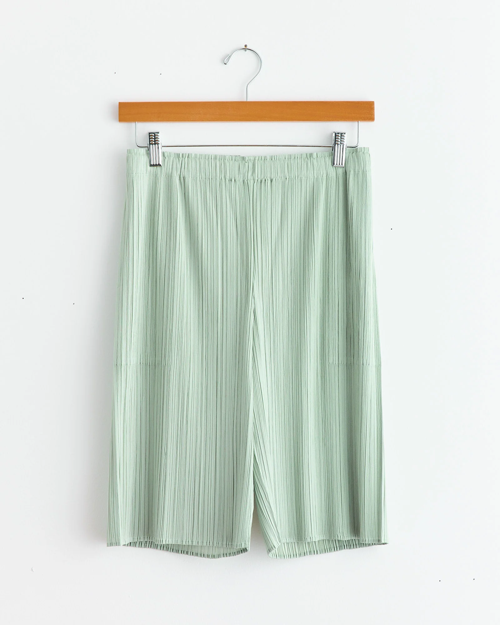 Monthly Colors June Shorts in Pastel Green