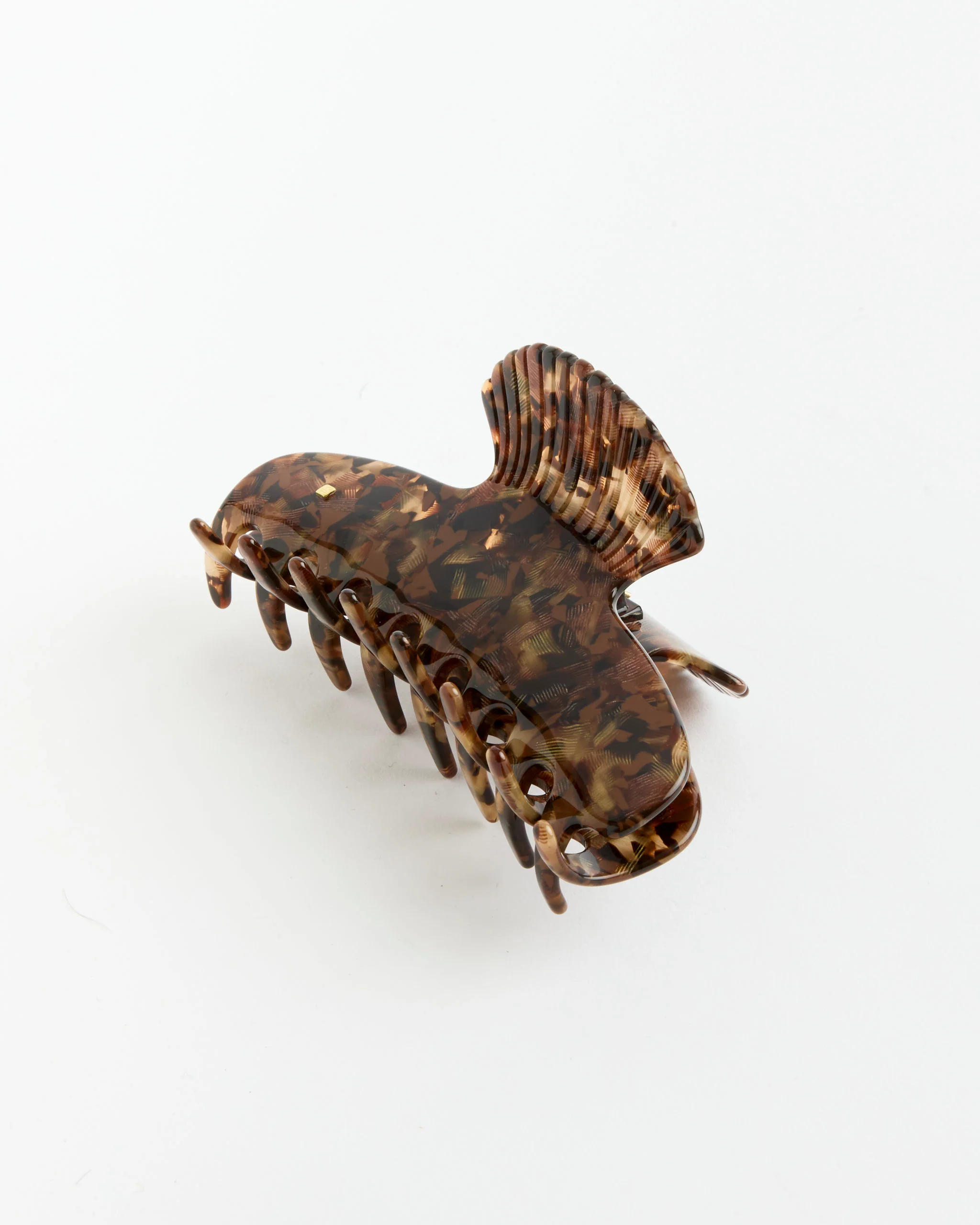 Fan Shell Claw in Ecaille - Image 2